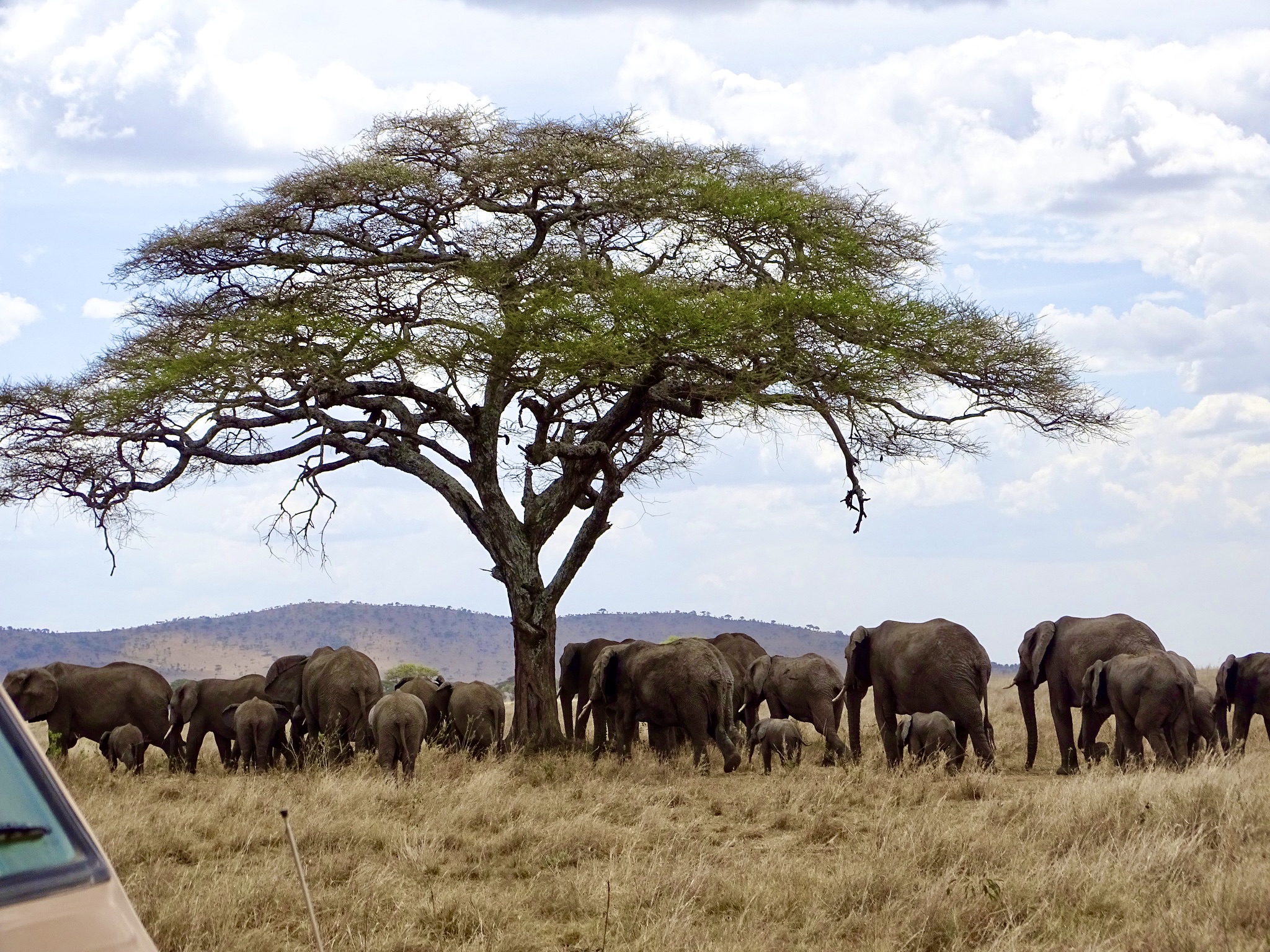 6726b0fc 0874 4cd7 8523 843a300e8f8e